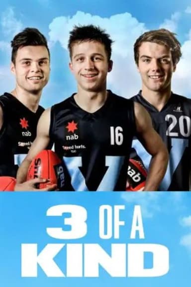 3 of a Kind poster