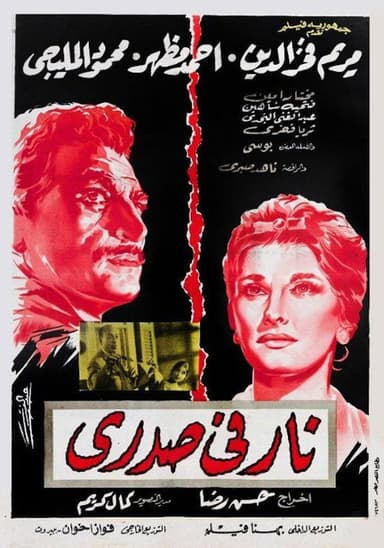Fire in My Heart poster