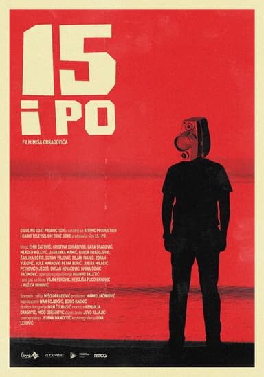 15 and a Half poster