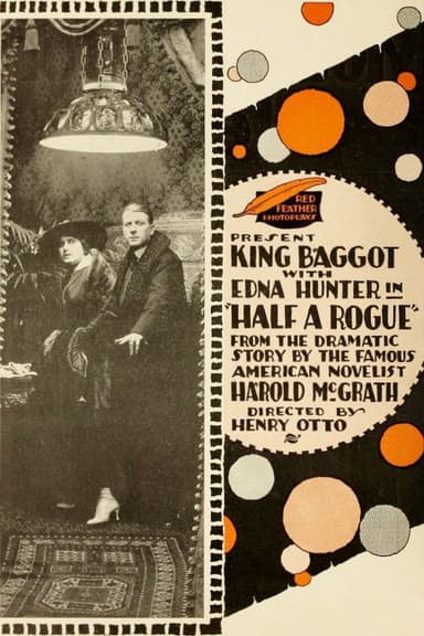 Half a Rogue poster