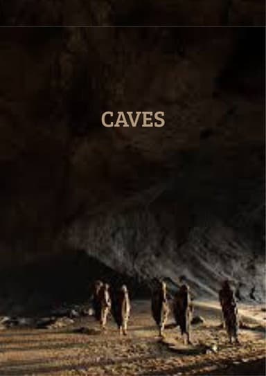 CAVES poster
