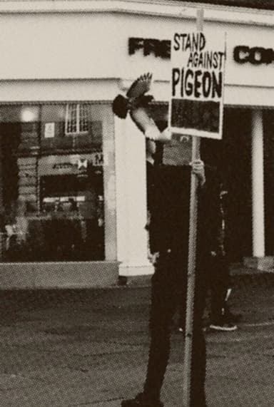 Pigeon Mafia Takes out the Trash poster