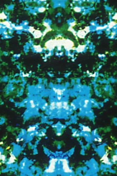 Paranoia Corridor poster
