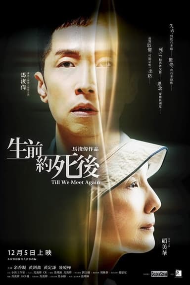 Till We Meet Again poster