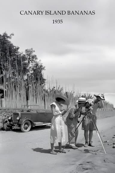 Canary Island Bananas poster