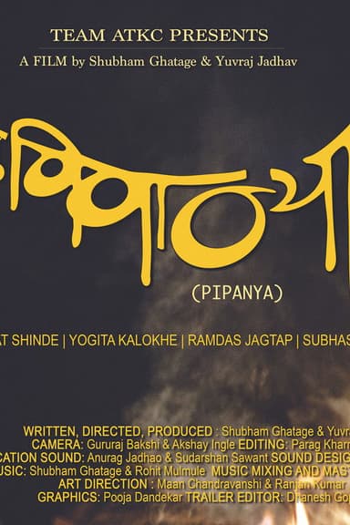 Pipanya poster