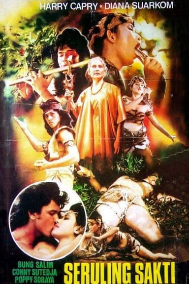 Magical Flute poster