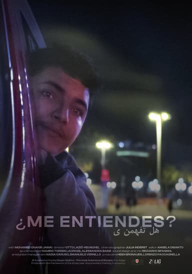 Do You Get Me? poster