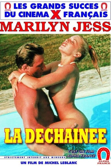 Forbidden Pleasures poster