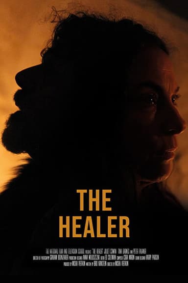 The Healer poster