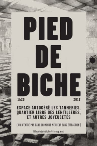 Pied de biche poster
