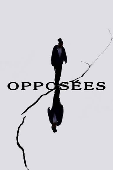 Opposites poster