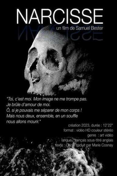 Narcisse poster