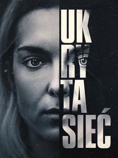 The Hidden Web poster