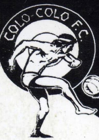 Colo-Colo Un Objeto de Deseo poster