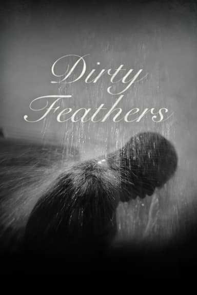 Dirty Feathers poster