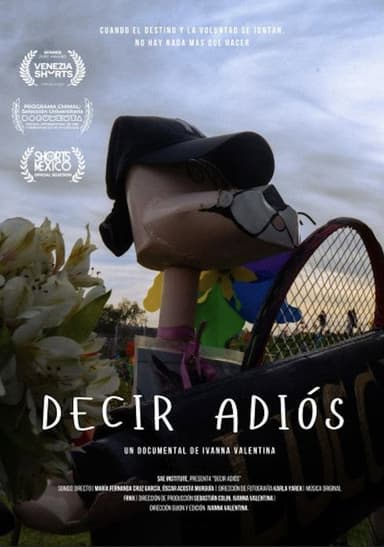 Decir adiós poster