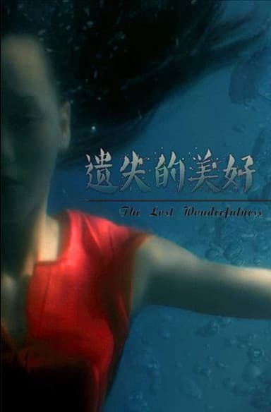 遗失的美好 poster