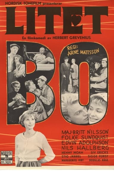 Litet bo poster