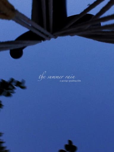 The Summer Rain poster