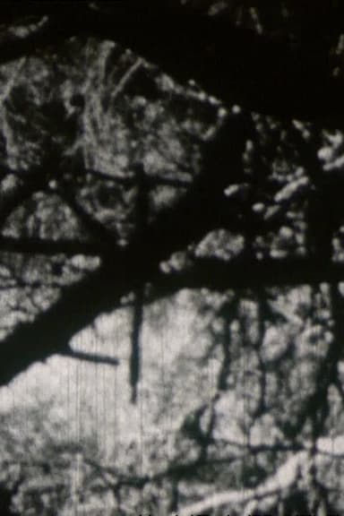 Crépuscule aux Aresquiers poster