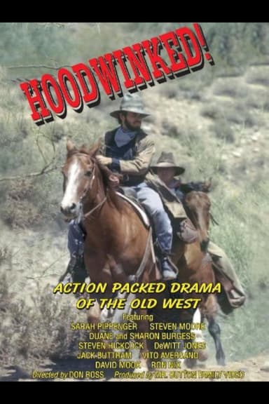 Hoodwinked poster