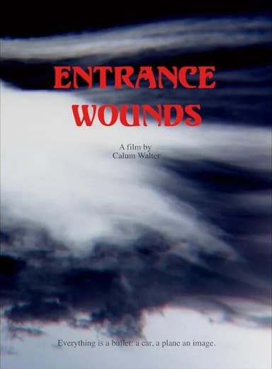 Entrance Wounds poster
