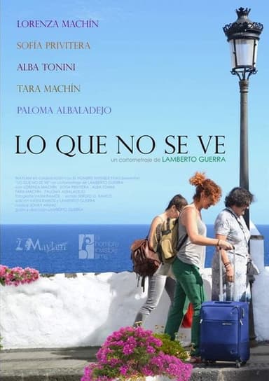 Lo que no se ve poster