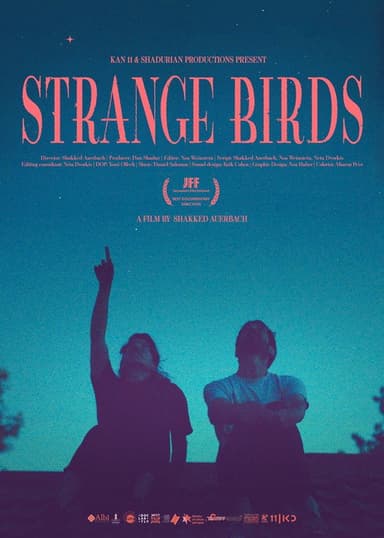 Strange Birds poster