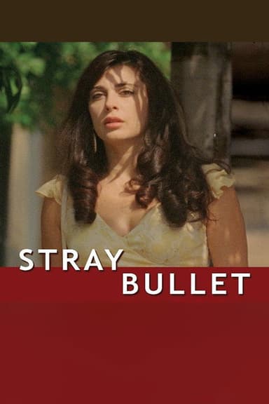 Stray Bullet poster