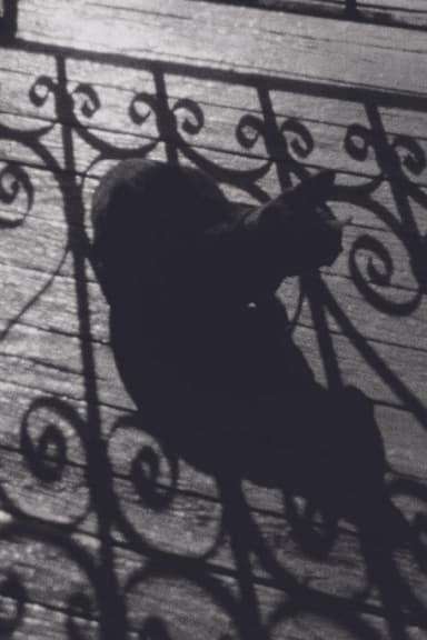 Emma poster