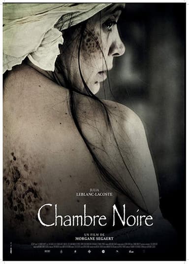 The Dark Room poster