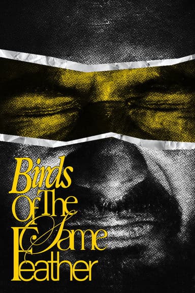 Birds Of The Same Feather. poster