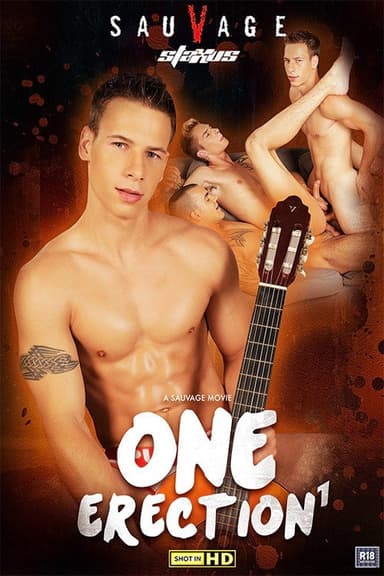 One Erection poster
