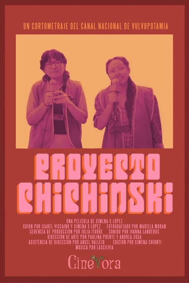 Proyecto Chichinski poster