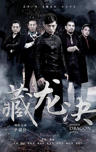 Hidden Dragon Battle poster