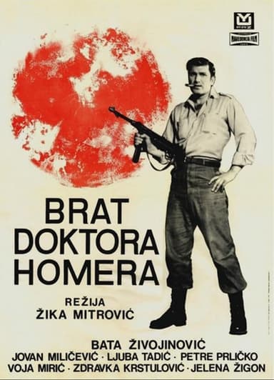 Doctor Homer's Brother poster