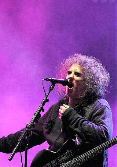 The Cure Aux Viellies Charrues poster