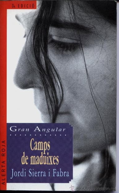 Camps de maduixes poster