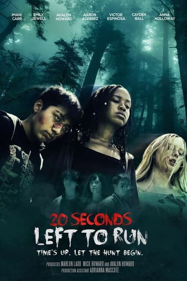 20 Seconds Left to Run poster