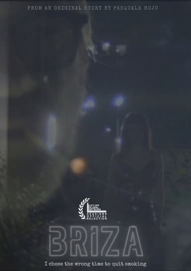 Briza poster