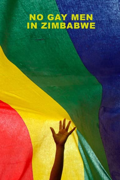 No Gay Men in Zimbabwe poster