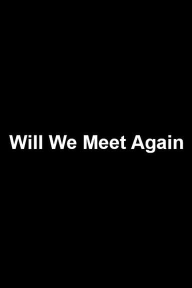 Will We Meet Again poster