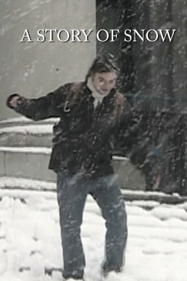 A Story of Snow poster