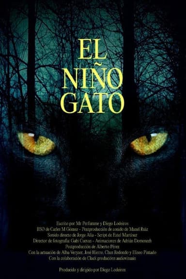 El niño gato poster
