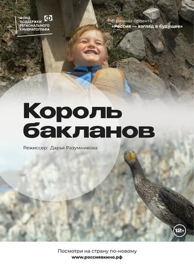 The King of Cormorants poster