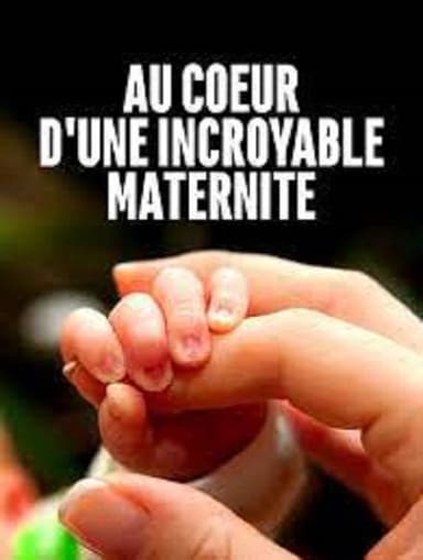 Au cœur d'une incroyable maternité poster