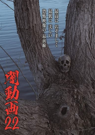 Tokyo Videos of Horror 22 poster