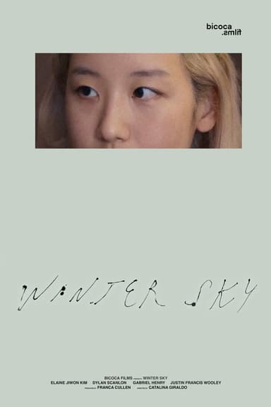 Winter Sky poster