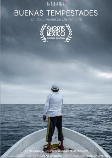 Good Storms poster